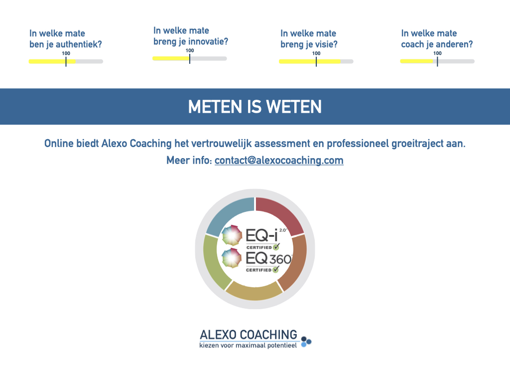EQi assessment Alexo Coaching .001